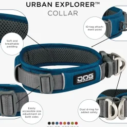 Urban Explorer Collar