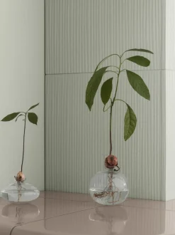 Vase - Avo