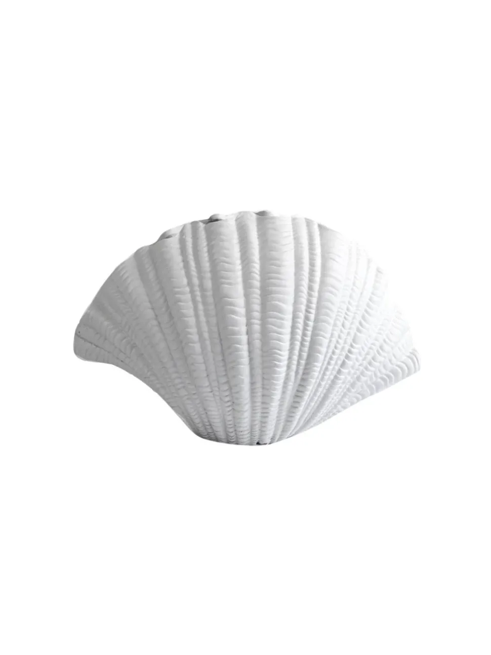 Vase Shell