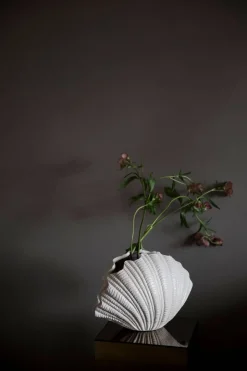 Vase Shell