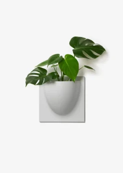 Vertiplants BIO