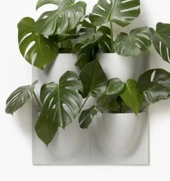 Vertiplants BIO