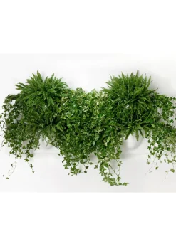 Vertiplants BIO