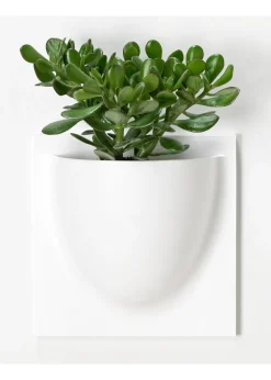 Vertiplants BIO