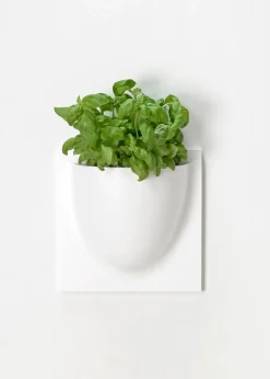 Vertiplants BIO