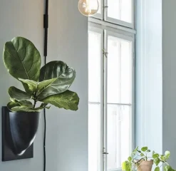 Vertiplants BIO