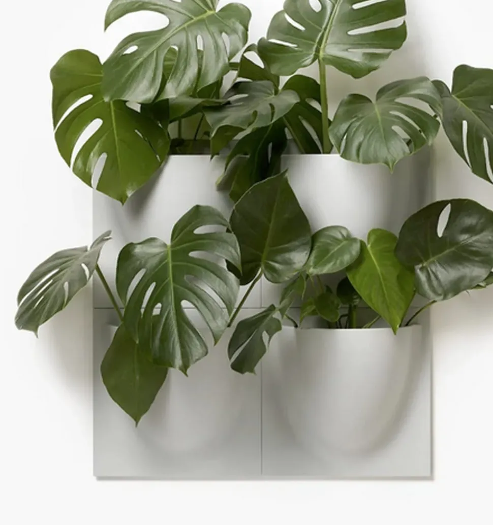 Vertiplants BIO
