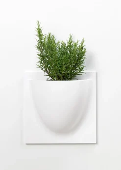 Vertiplants BIO