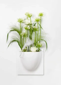 Vertiplants BIO