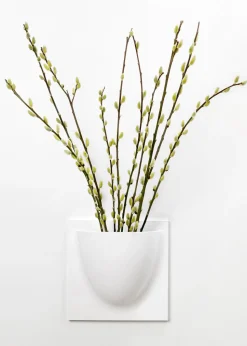 Vertiplants BIO