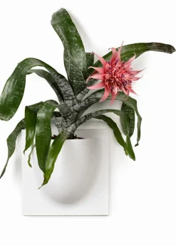 Vertiplants BIO