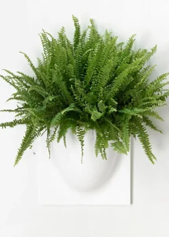 Vertiplants BIO