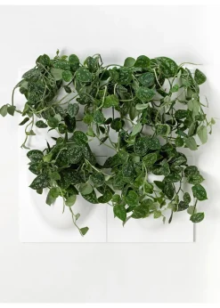 Vertiplants BIO