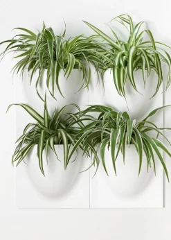 Vertiplants BIO