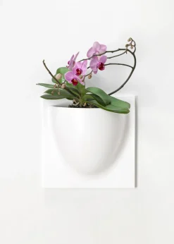 Vertiplants BIO