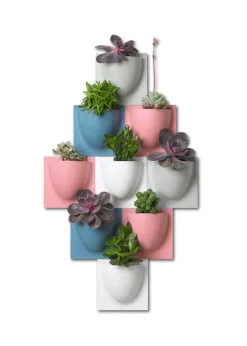 Vertiplants BIO