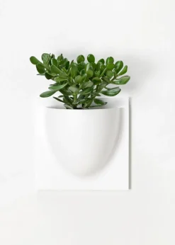 Vertiplants BIO