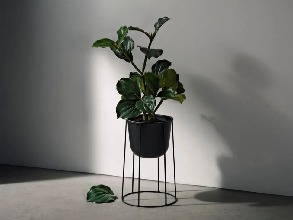 Wire Base