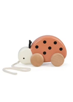 Wooden Pull-Along Toy