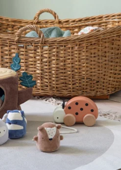 Wooden Pull-Along Toy