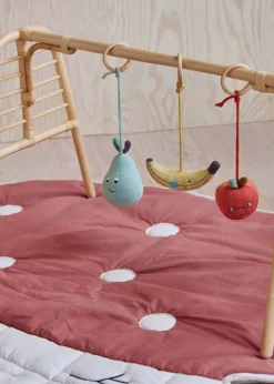 Yummy Play Gym Toy